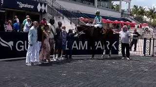 Gulfstream Park Replay Show | August 8, 2025