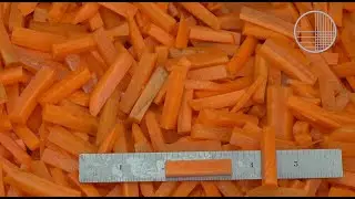 Sprint 2 Carrot Sticks