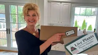 Plant Haul High Country Roses! | Unboxing Rose Plants| Zone 5
