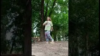 полишок