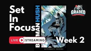 Set In Focus Week 2: 2025 Crytpozoic Batman: Hush Trading Cards Set Review & Box Break