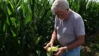 Western Reserve Land Conservancy:  What we do
