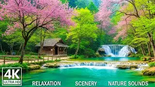 Beautiful Relaxing Music &ndash; Stop Overthinking, Stress Relief, Sleep Music for Calm Mind #2
