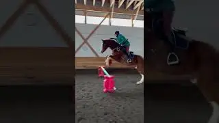 Have you ever ridden bridleless?? #horses #bridleless #chestnutmare #equestrian #jumpinghorses