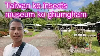 Taiwan ko insects museum abalokan. Beautiful Taiwan 
