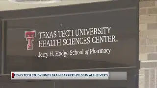 New study finds brain barrier stays strong in Alzheimer&rsquo;s model