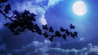 Relaxing Sleep Music - Beautiful Piano Music, Summer Night Lullaby
