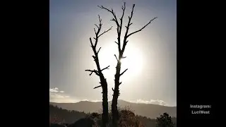 Colorado Instagram 2016 - In A Colorado Minute (Week 349)