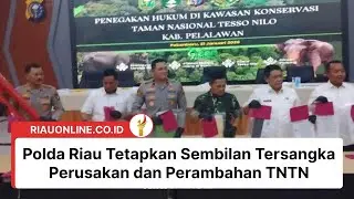 Polda Riau Tetapkan Sembilan Tersangka Perusakan dan Perambahan TNTN