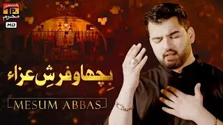 Bichaao Farsh E Aza | Mesum Abbas | Nohay | Moharram | TP Muharram