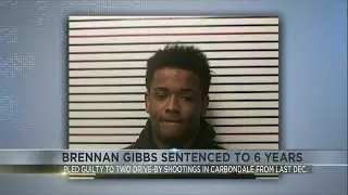 Gibbs sentenced to six years for role in Carbondale drive-by shootings