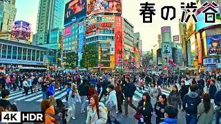 😍Spring Is Already Here! Huge Crowds at Miyashita Park & Shibuya Streets in Tokyo Jp  2026 4kHDR