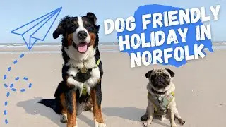 Dog Friendly Holiday to Norfolk - Forest Holidays - September 2020