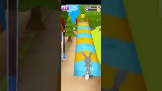 Bunny Run|Bunny Run Android Gameplay