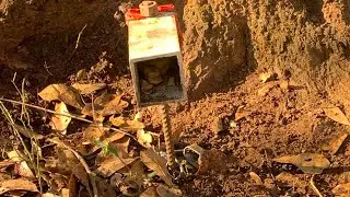 What my raccoon portable pocket setup looks like. The remake after a possum got in it.