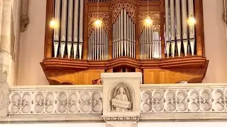 Austrian Church Organ Practice 🇦🇹