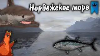 СТРИМ РР4 | Фарм | Норвежское море | Русская Рыбалка 4 Russian Fishing 4 #рр4