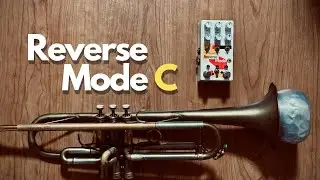 improvisation with Chase Bliss Reverse Mode C, etc.