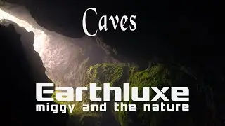 Nature&rsquo;s Underground Art