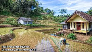 INDAH YANG MENYEJUKAN, MASA TUA INDAH Hidup Kampung Cantik Tengah Sawah Yang Jadi Impian Semua Orang