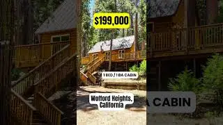 The Most Affordable Cabin in California?!