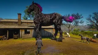From Wild West to Gentle Giant | John Marston's Horse Adventure