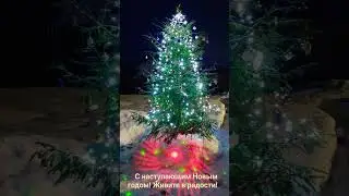 30 декабря 2023 г. В ожидании чуда.../  Waiting for a miracle...
