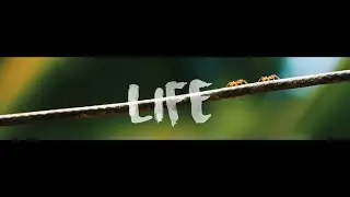 Nikon D5300 cinematic video