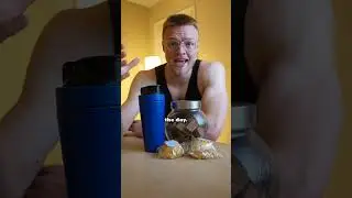 Should you just eat cookies & hit your protein to lose weight 🤔 🍪