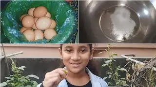 বাজার থেকে ডিম এনে কি করি স্বাস্থ্যের জন্য খুব উপকারী টিপস