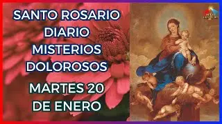 Rosario diario: Misterios Dolorosos Martes 20 de enero 🕯️ Lux et Gratia Dei