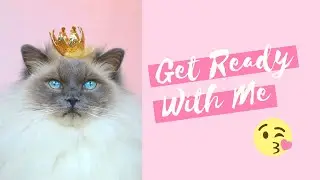 Philly's First Makeup Tutorial | GRWM Cat Edition 💄