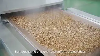 Microwave Tunnel Dryer Explained: Fast, Efficient, and Smart Drying Technology #dryingmachine