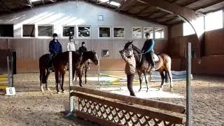 Reitabzeichen Reiterhof Konle - TRAININGSVIDEOS - 4
