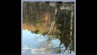 Reflections #communitysinging #communitysing