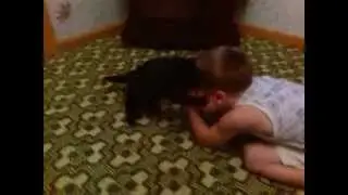 Видео0000   копия