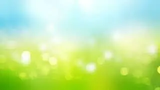 Deceptively Cheerful / Gypsy Bard (NOT MY SONG)