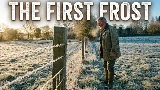 Acoustic Folk - The First Frost - Rough & Real Records - Lyrics Video