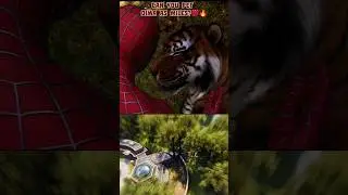 Can Miles Morales pet the Tiger in Spider-Man 2? 💯🔥 PS5 #spiderman