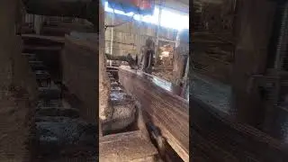 Sawing Curupay Wood
