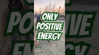 Dogs Sense and Respond to Your Energy