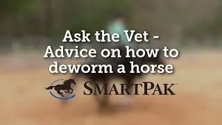 Ask the Vet - Advice on how to deworm a horse