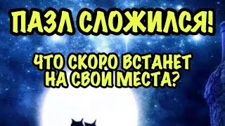 Пазл сложился ! Что скоро встанет на свои места ?