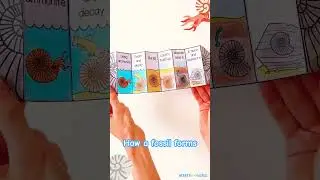 How a fossil forms foldable sequencing activity for #thirdgrade #earthscience #ks2 #kidscrafts
