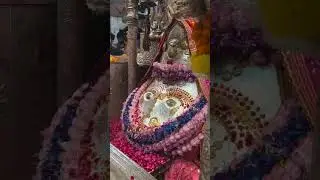 Sari murade puri karegi Delhi wali mayi// new deru bhajan//naye saal ka bhajan // happy new year🙏🏻🕉️