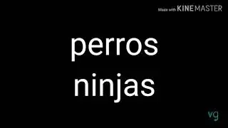 Perros ninjas