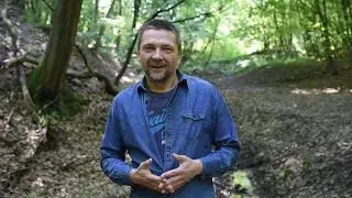 Jacek Taran - 