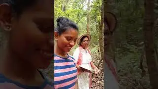Our walk to Mollem Biodiversity Park 😄 just a candid video#viralvideo