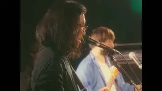 ウサギバニーボーイ / 素敵な生活（Live）