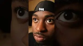 Dog buttons 2 #comedy #shorts